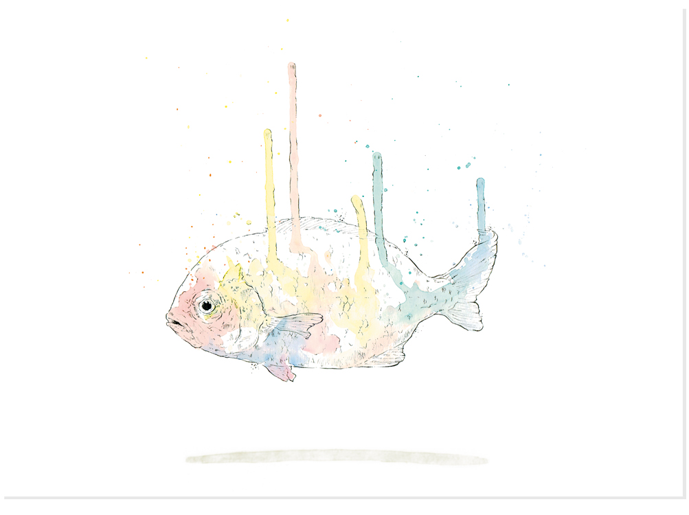 rainbow_fish